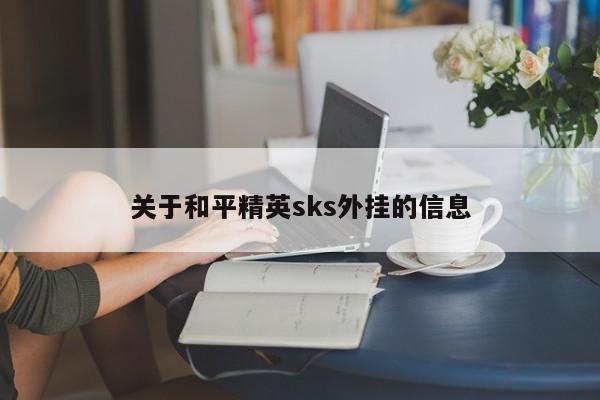 关于和平精英sks外挂的信息