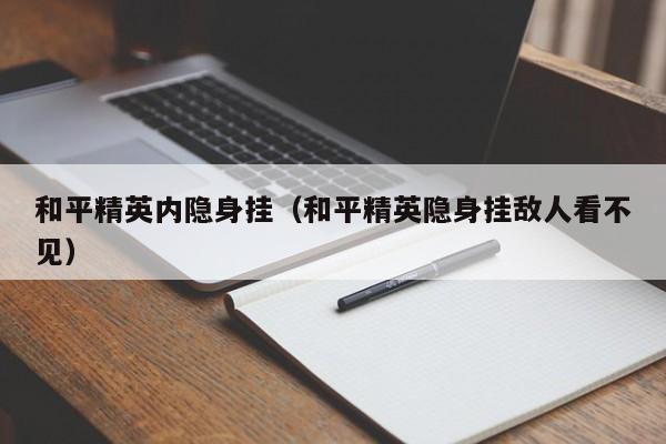 和平精英内隐身挂（和平精英隐身挂敌人看不见）