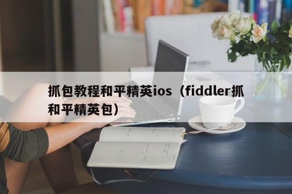 抓包教程和平精英ios（fiddler抓和平精英包）  第1张